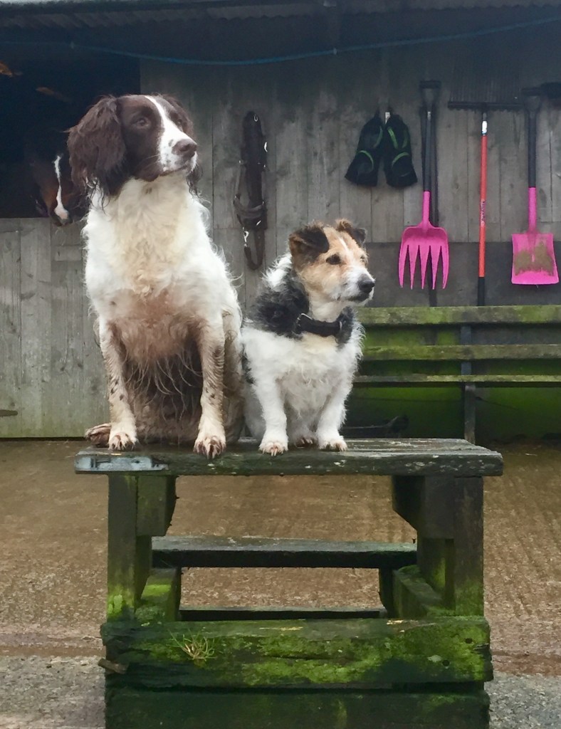 What Word Describes&nbsp;You