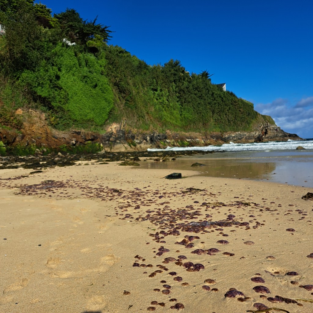 Journey Beyond the Veil: A Short Story of&nbsp;Discovery