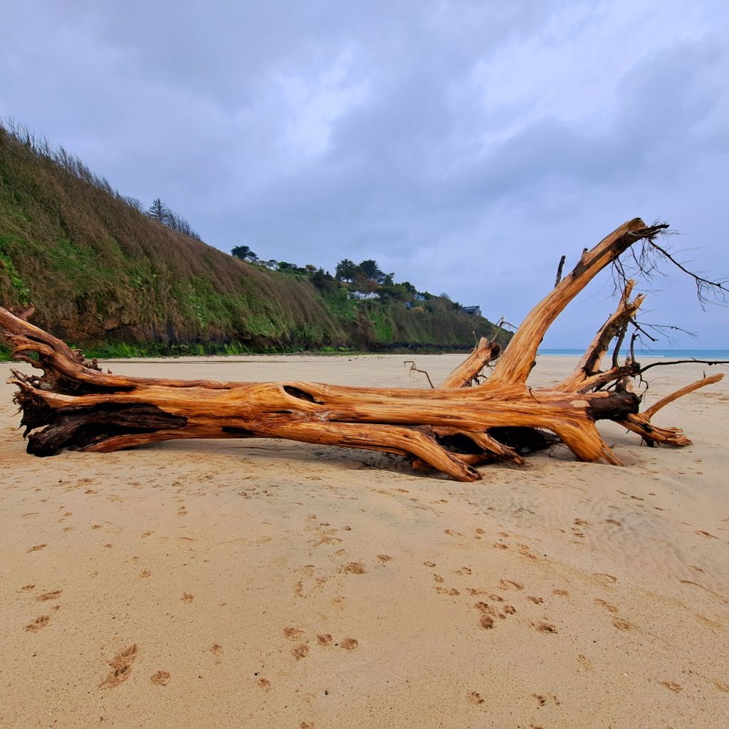 Finding Beauty Within: A Beach Meditation&nbsp;Experience