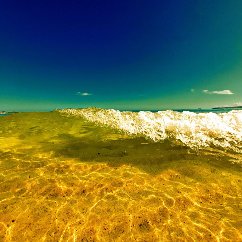 The Sea of Change: Life’s Unpredictable&nbsp;Journey